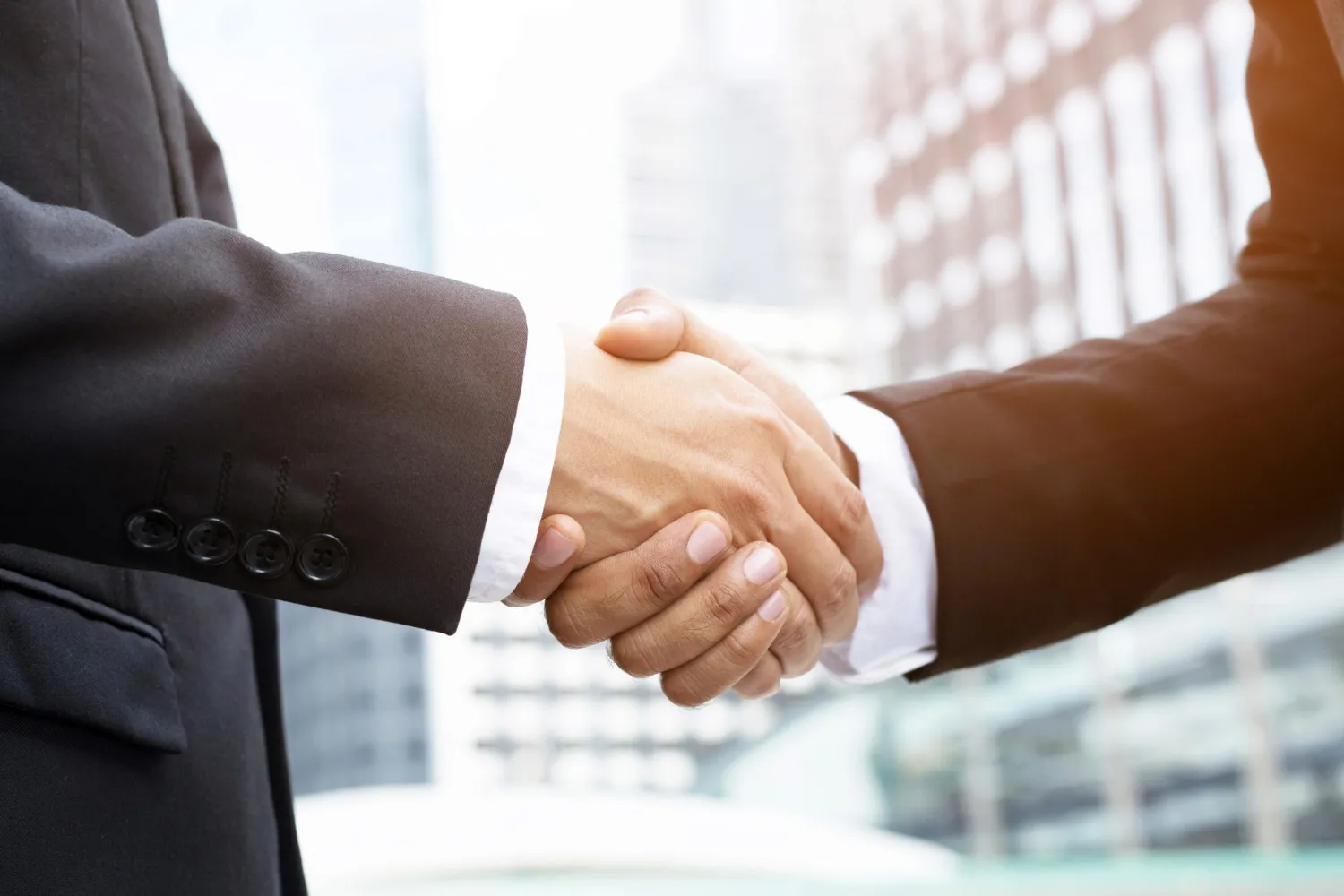 Consulenza e assistenza nella costituzione di azienda